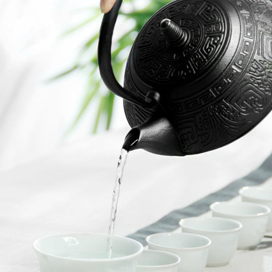 إبريق شاي من الحديد الزهر على طريقة كونغفو الجنوبية اليابانية